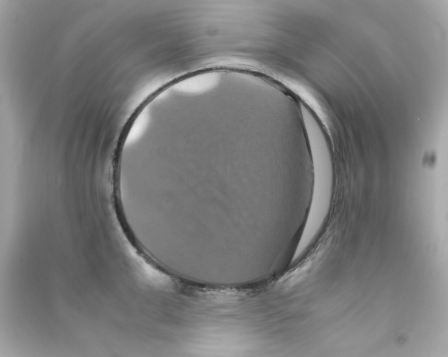 X0000090490999200708102215