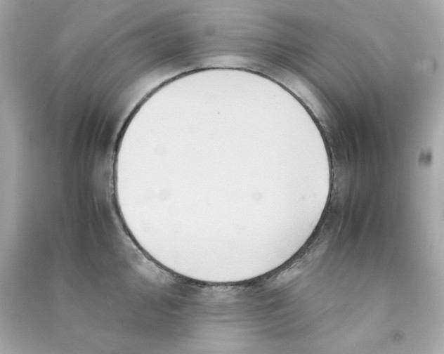 X0000090491000200708102215