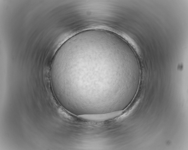 X0000090491001200708102214