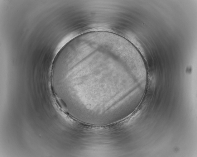 X0000090491002200708102214