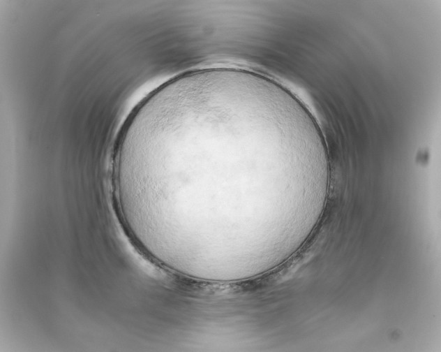 X0000090491003200708102214