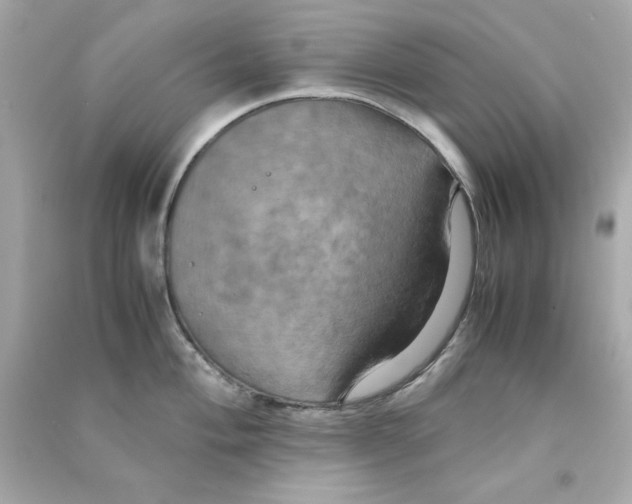 X0000090491004200708102214