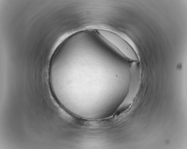 X0000090491005200708102214