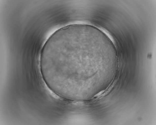 X0000090491006200708102214