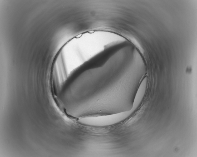 X0000090491007200708102214