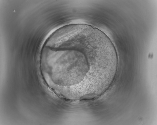 X0000090491008200708102214