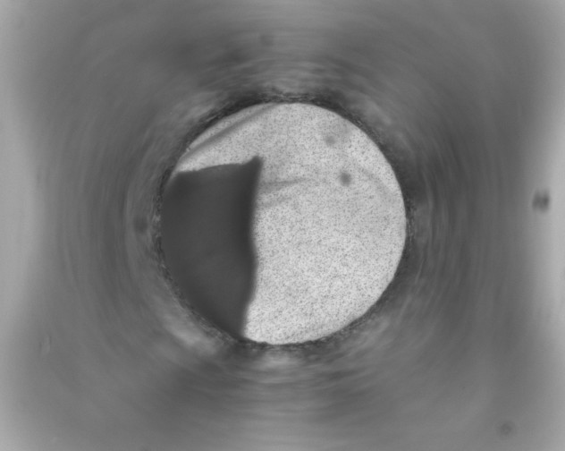 X0000090491009200708102214