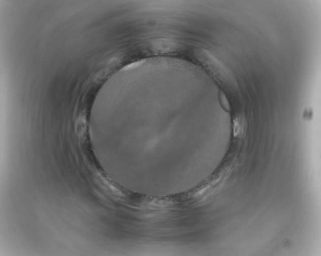 X0000090491011200708102214