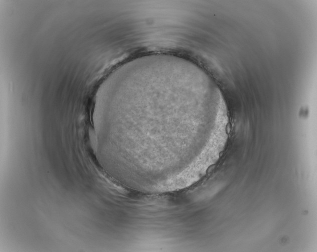 X0000090491012200708102214