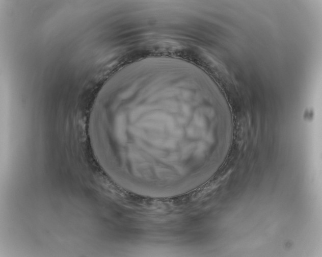 X0000090491013200708102214