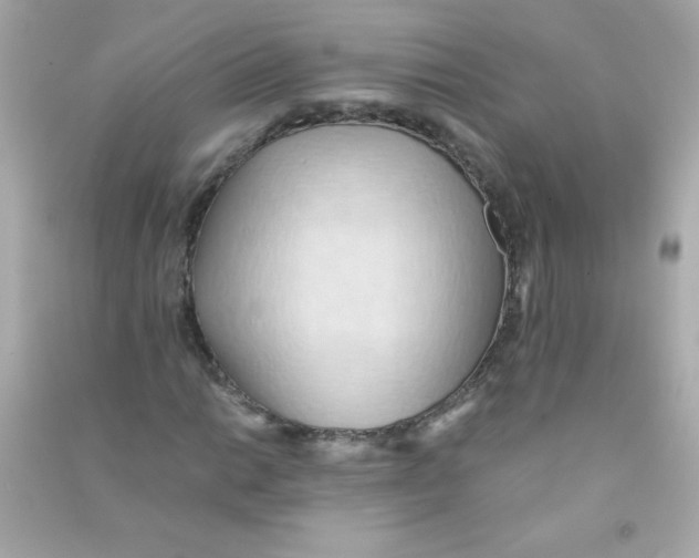 X0000090491014200708102214