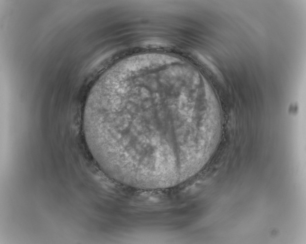 X0000090491015200708102214