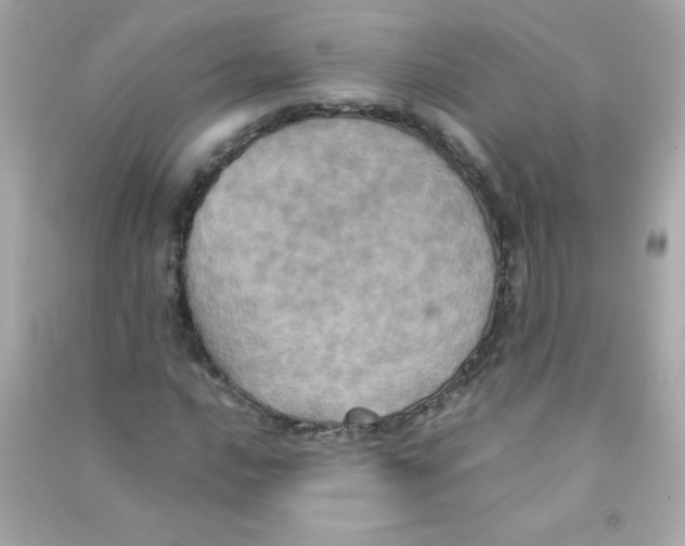 X0000090491016200708102214