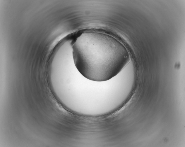 X0000090491018200708102214