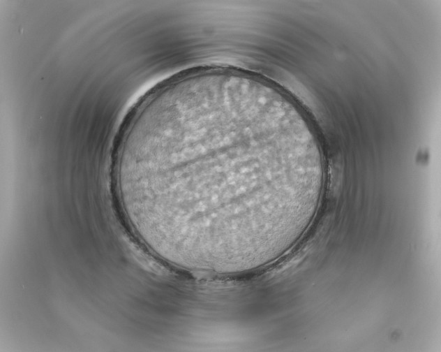 X0000090491020200708102214