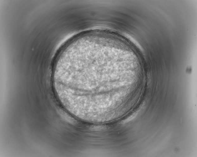 X0000090491021200708102214