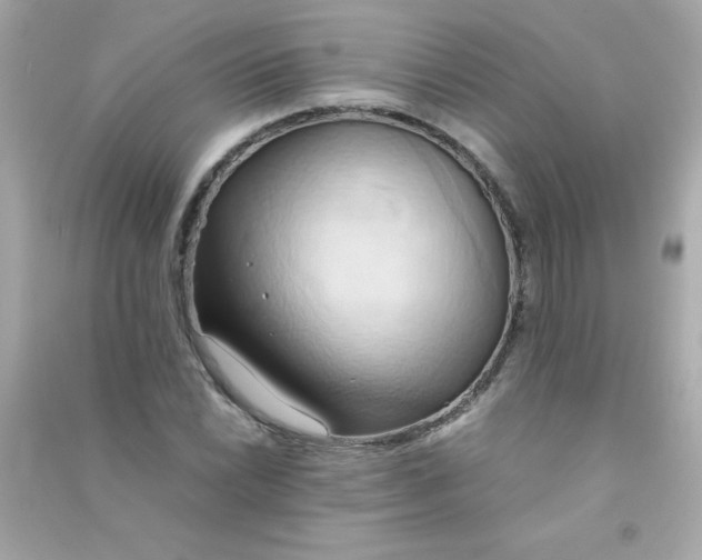 X0000090491022200708102214