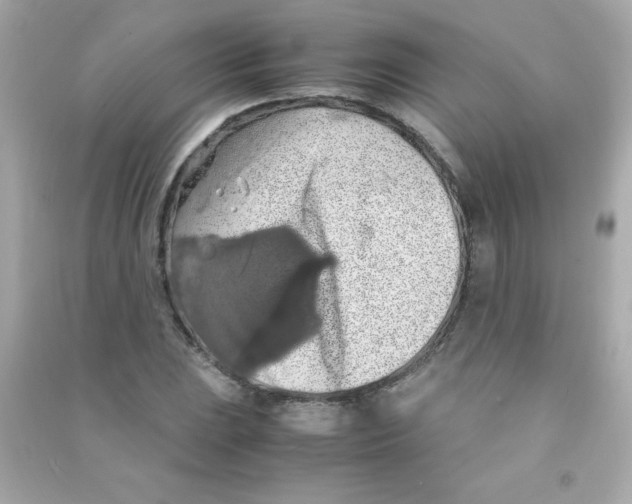 X0000090491023200708102214