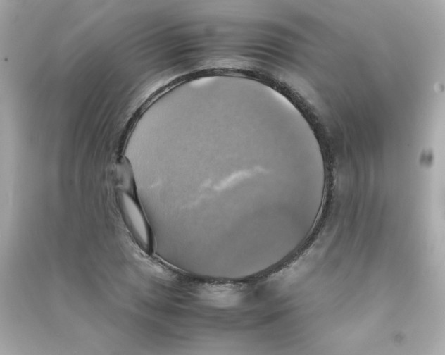 X0000090491025200708102214