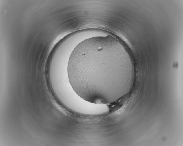 X0000090491026200708102214