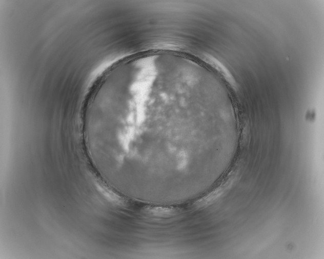 X0000090491027200708102214