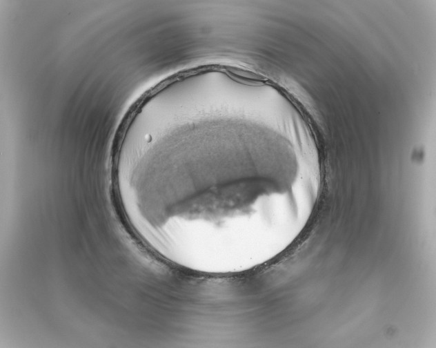 X0000090491028200708102214