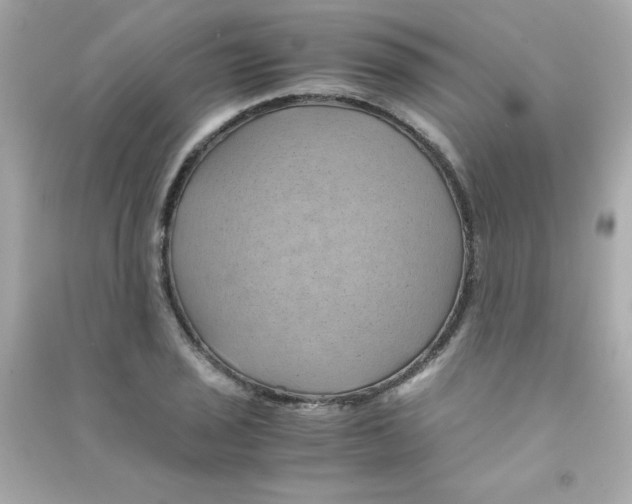 X0000090491029200708102214