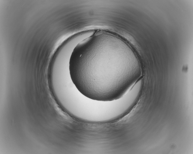 X0000090491030200708102214