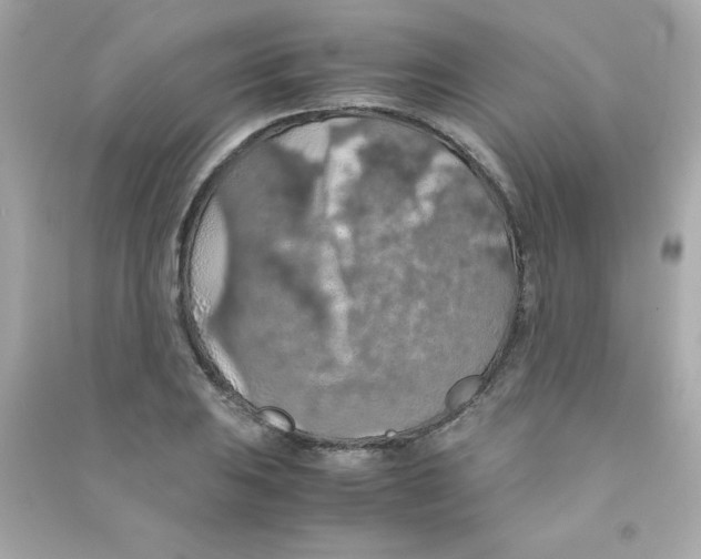 X0000090491031200708102214