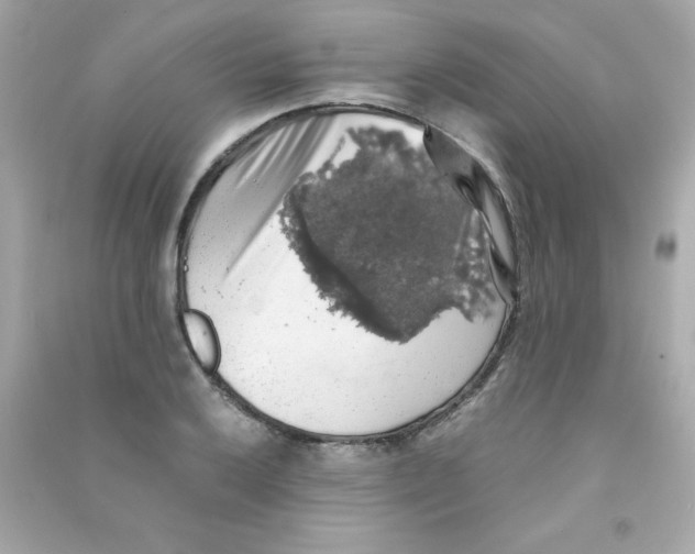 X0000090491032200708102214