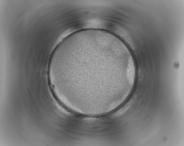 X0000090491033200708102214