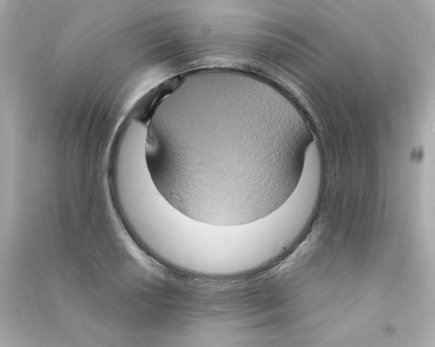 X0000090491034200708102214