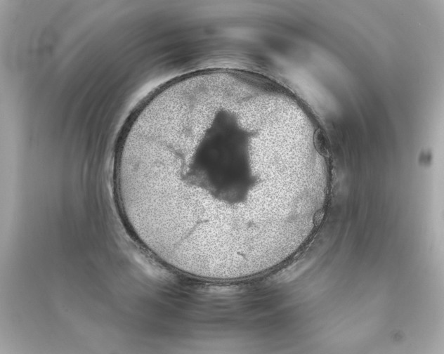 X0000090491035200708102214