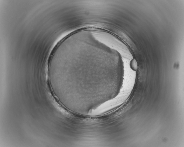 X0000090491036200708102214