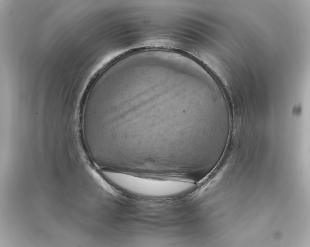 X0000090491037200708102214