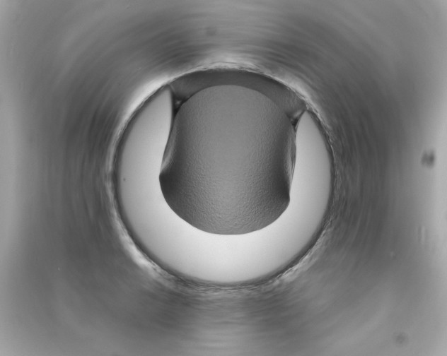 X0000090491038200708102214