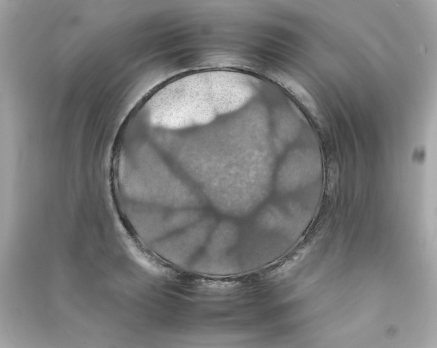 X0000090491039200708102214