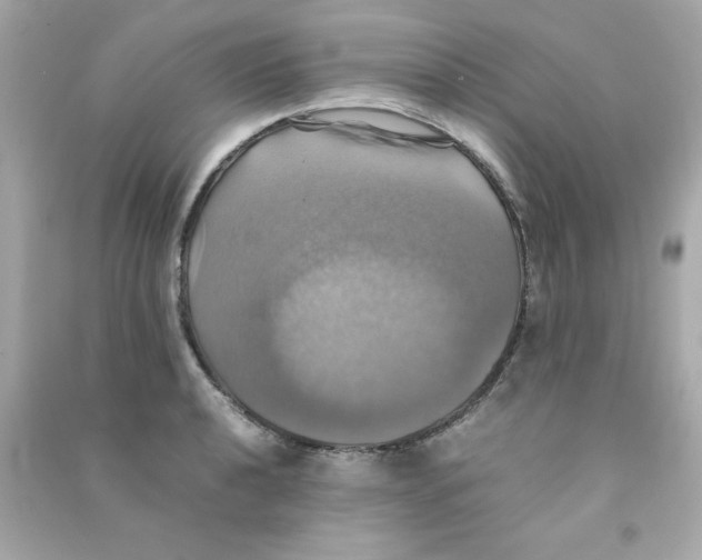 X0000090491040200708102214