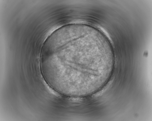 X0000090491041200708102214