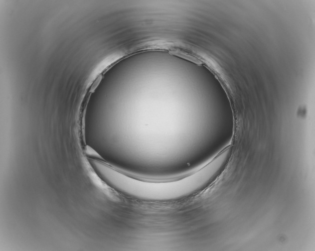 X0000090491042200708102214