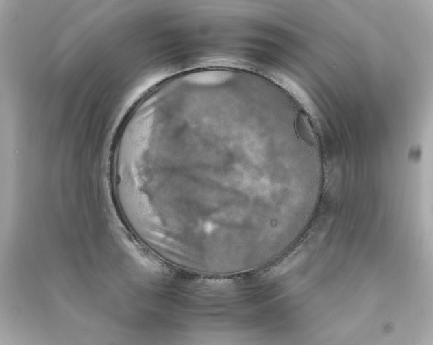 X0000090491043200708102214