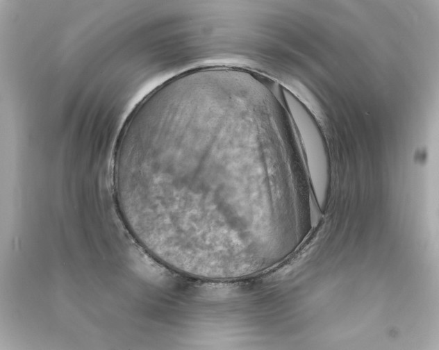 X0000090491044200708102214