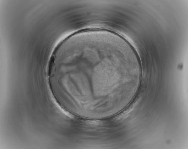 X0000090491045200708102214