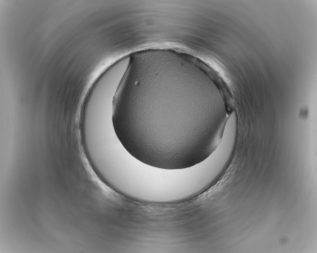 X0000090491046200708102214