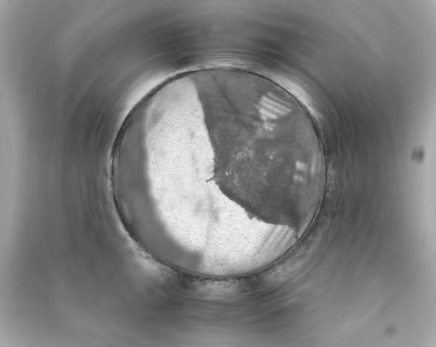 X0000090491047200708102214