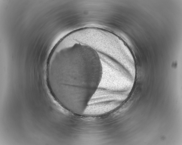 X0000090491048200708102214