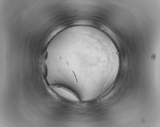 X0000090491049200708102214