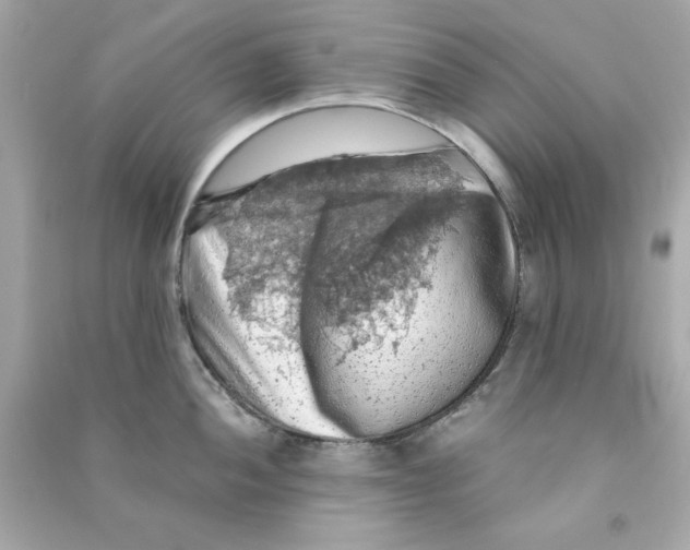 X0000090491052200708102214