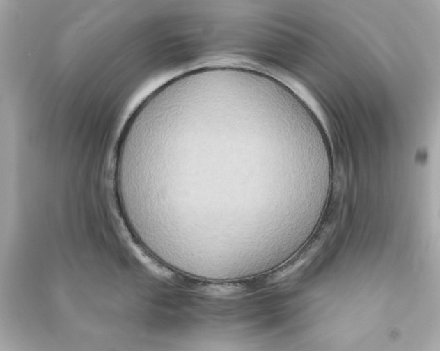 X0000090491053200708102214