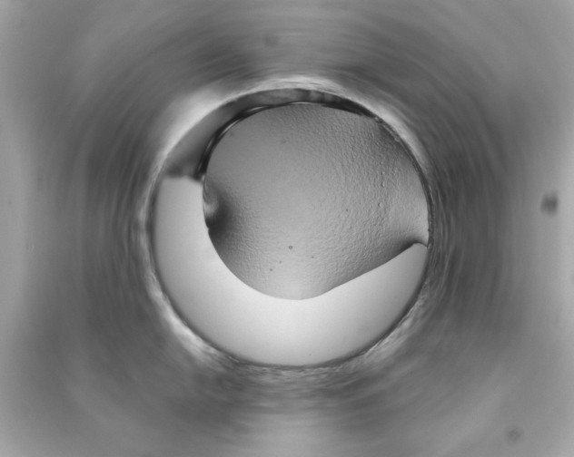 X0000090491054200708102214